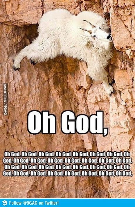 Oh God